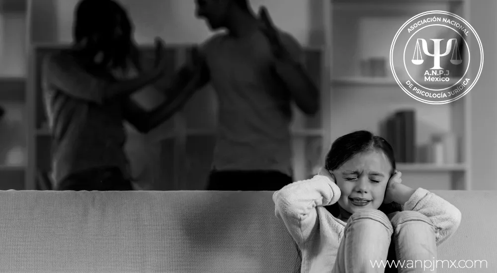 familias-en-conflictos-muy-elevados-y-altamente-judicializadas