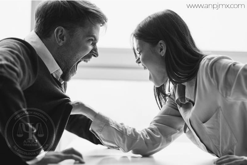 FAMILIAS-EN-CONFLICTOS-MUY-ELEVADOS-Y-ALTAMENTE-JUDICIALIZADAS-2