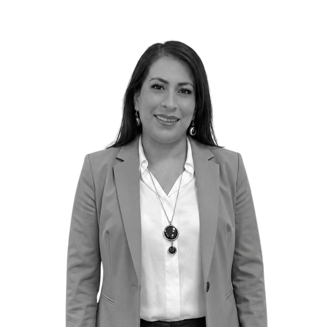 Psic. Mónica Robles Villegas